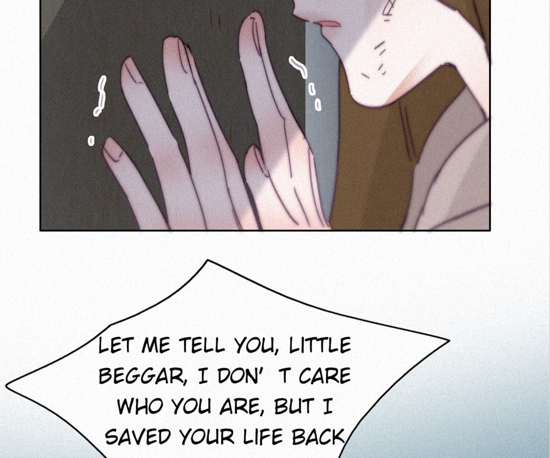 Counterattack Through Pregnancy (Official) - Chapter 206 manhwa
