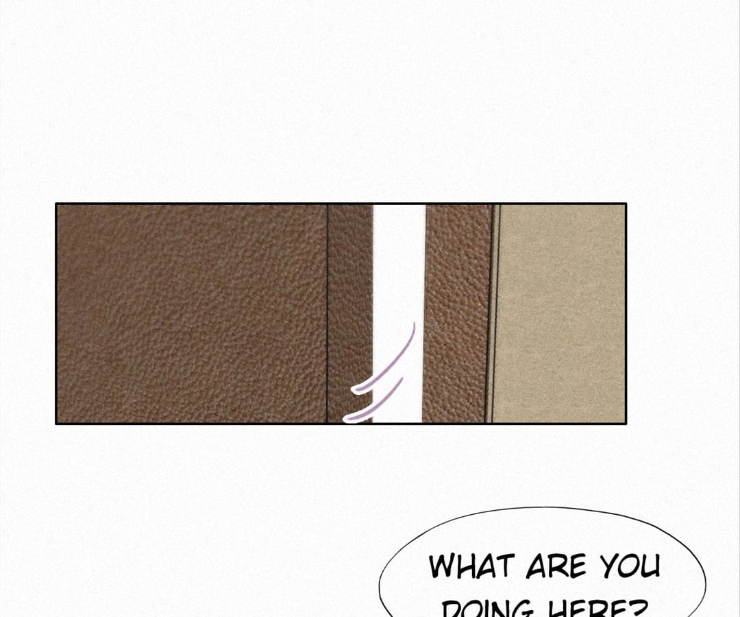 Counterattack Through Pregnancy (Official) - Chapter 206 manhwa
