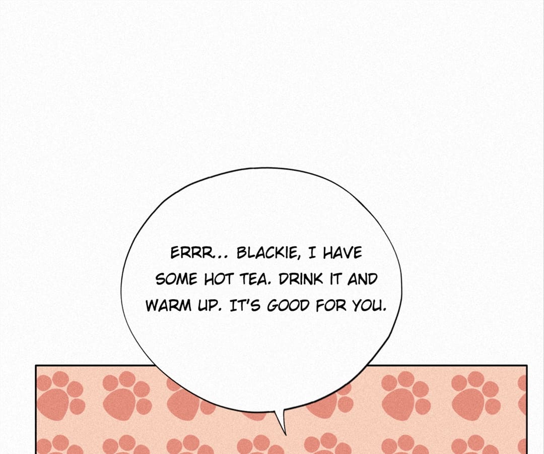 Counterattack Through Pregnancy (Official) - Chapter 211 manhwa