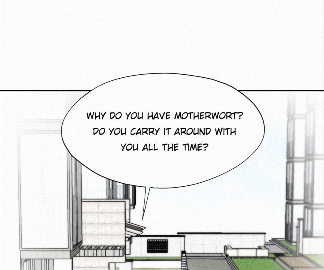 Counterattack Through Pregnancy (Official) - Chapter 211 manhwa