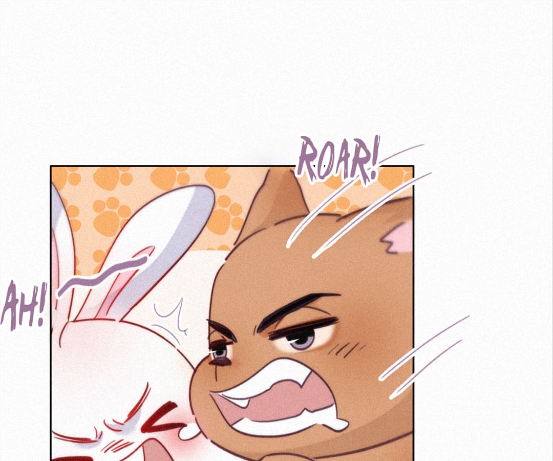 Counterattack Through Pregnancy (Official) - Chapter 213 manhwa