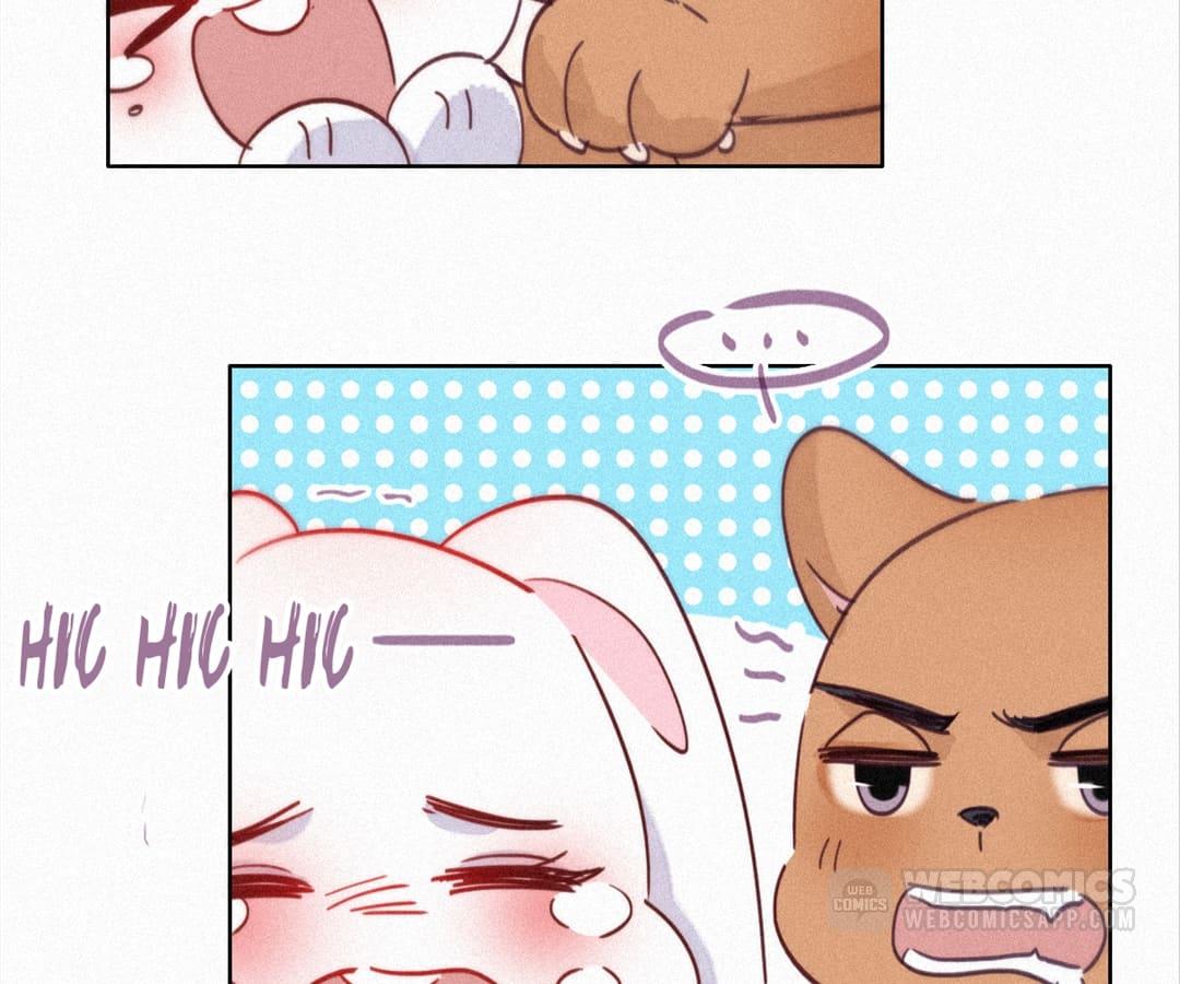 Counterattack Through Pregnancy (Official) - Chapter 213 manhwa