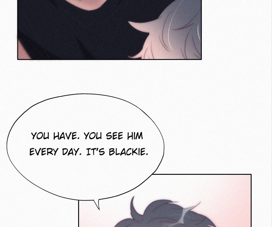 Counterattack Through Pregnancy (Official) - Chapter 217 manhwa