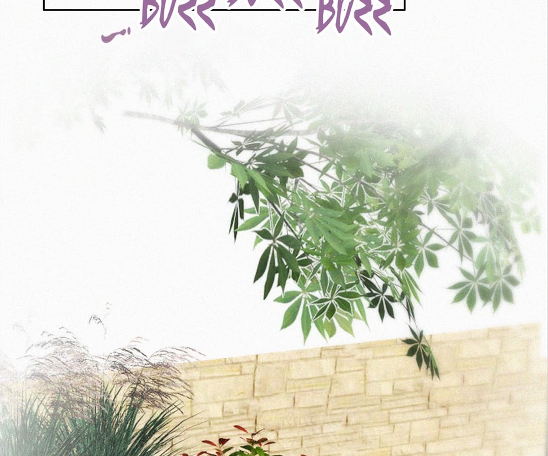 Counterattack Through Pregnancy (Official) - Chapter 222 manhwa
