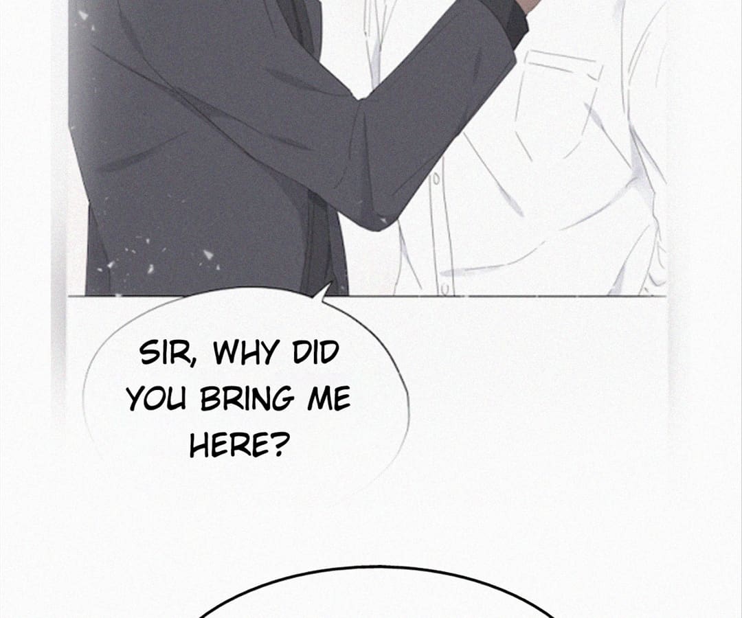 Counterattack Through Pregnancy (Official) - Chapter 227 manhwa