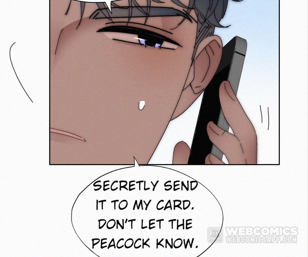 Counterattack Through Pregnancy (Official) - Chapter 238 manhwa