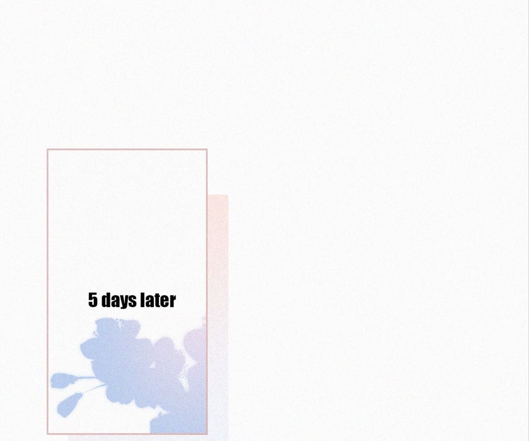 Counterattack Through Pregnancy (Official) - Chapter 242 manhwa