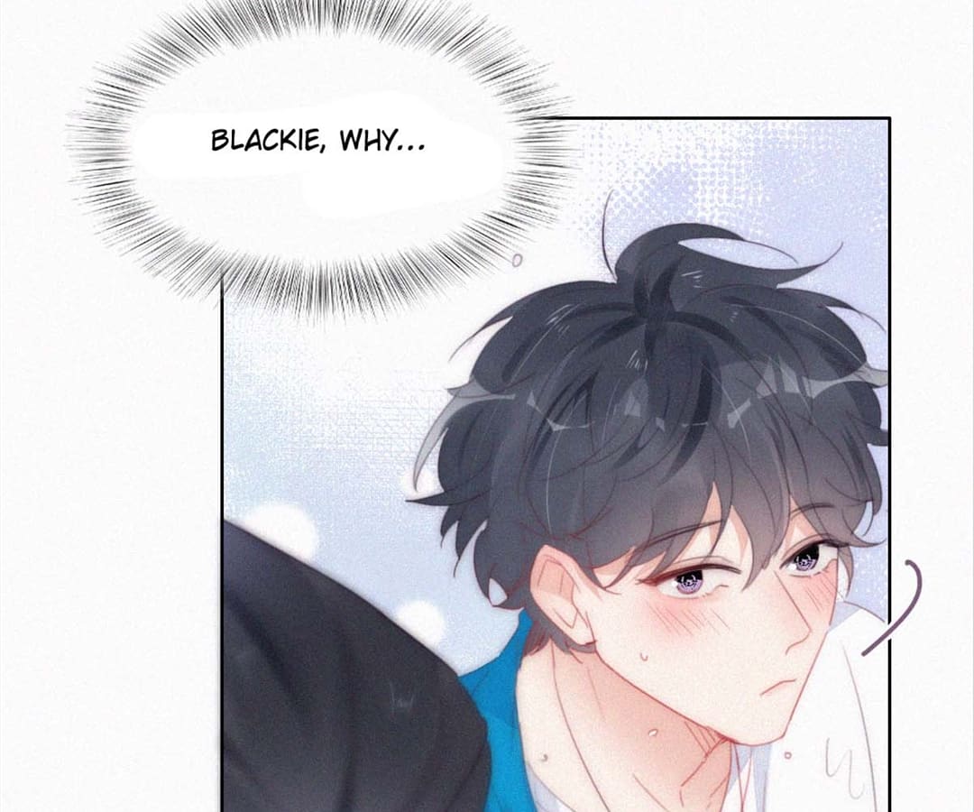 Counterattack Through Pregnancy (Official) - Chapter 243 manhwa