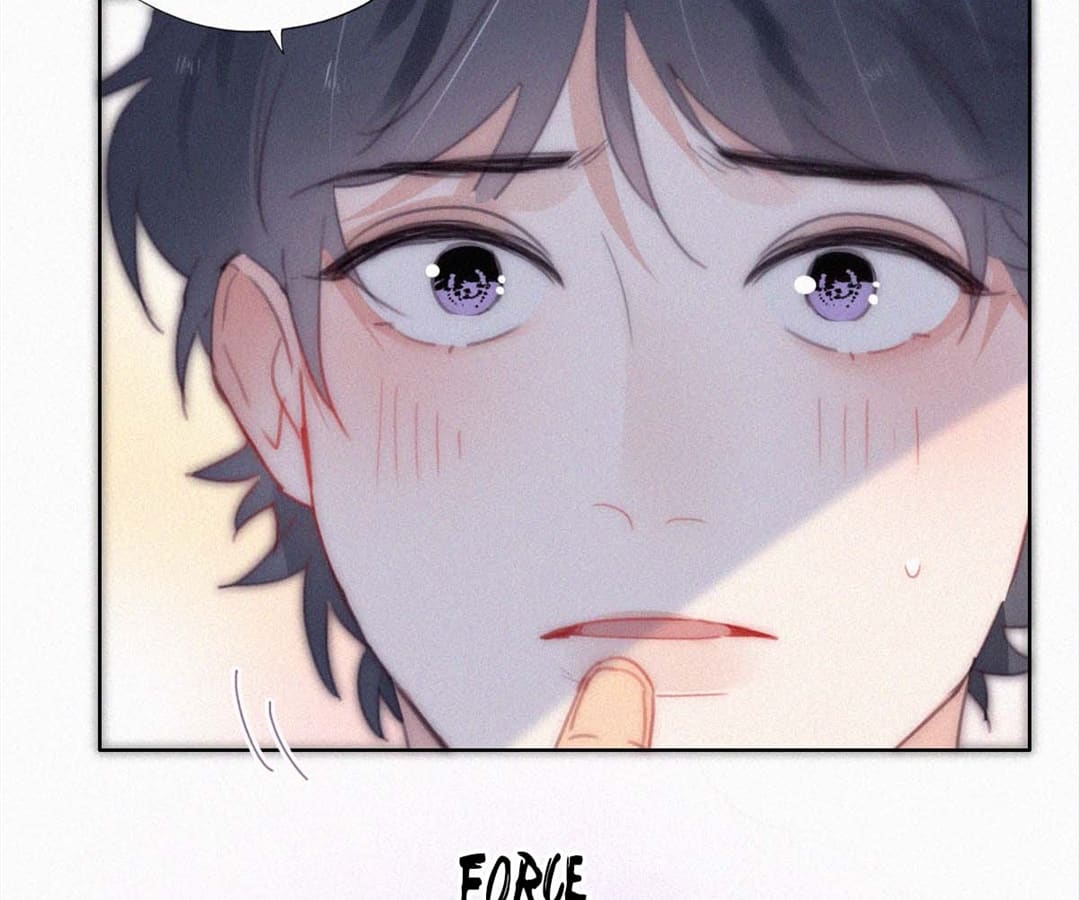 Counterattack Through Pregnancy (Official) - Chapter 244 manhwa