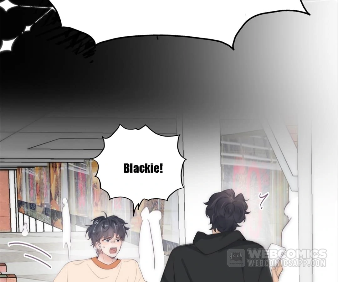 Counterattack Through Pregnancy (Official) - Chapter 249 manhwa