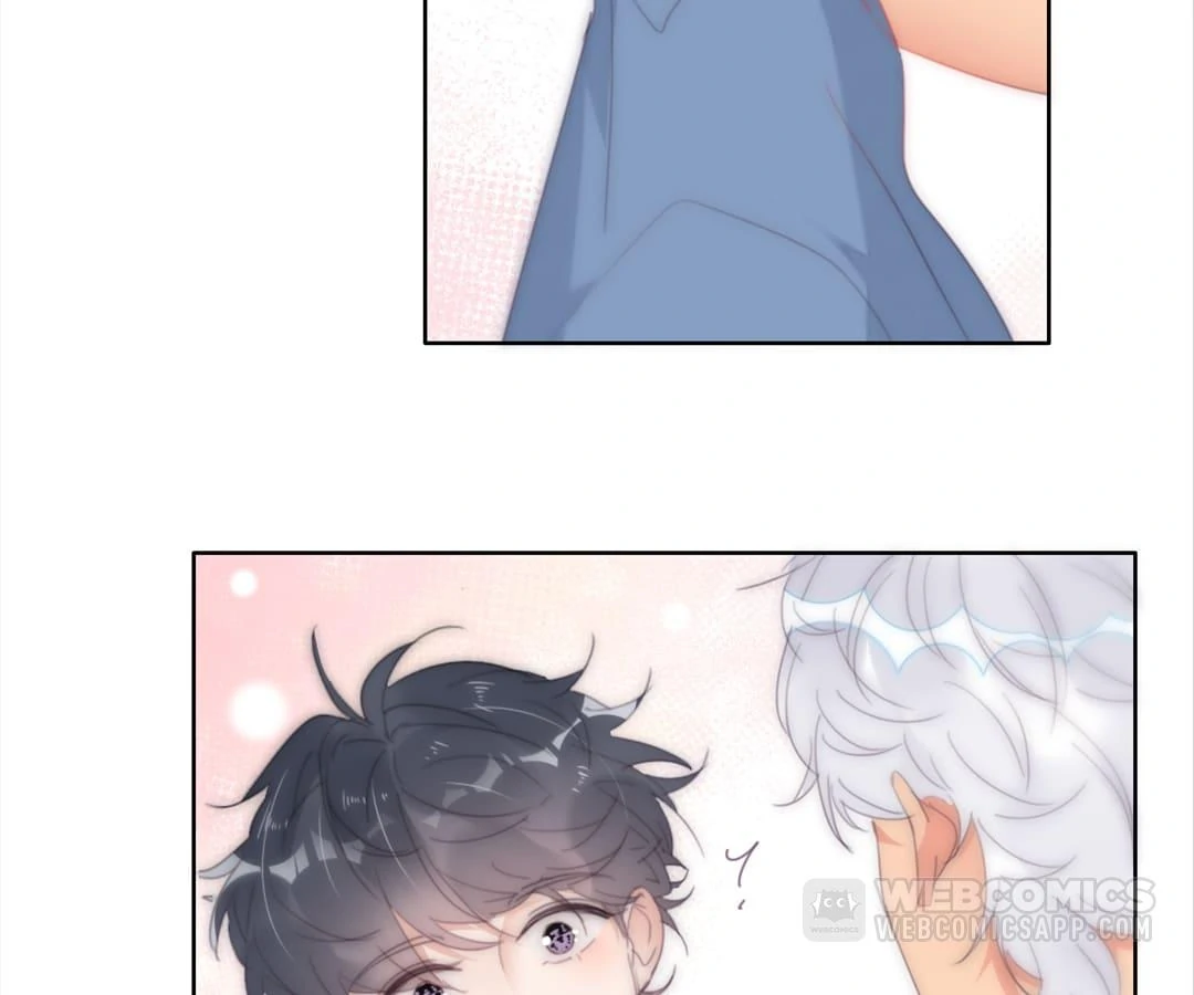 Counterattack Through Pregnancy (Official) - Chapter 253 manhwa