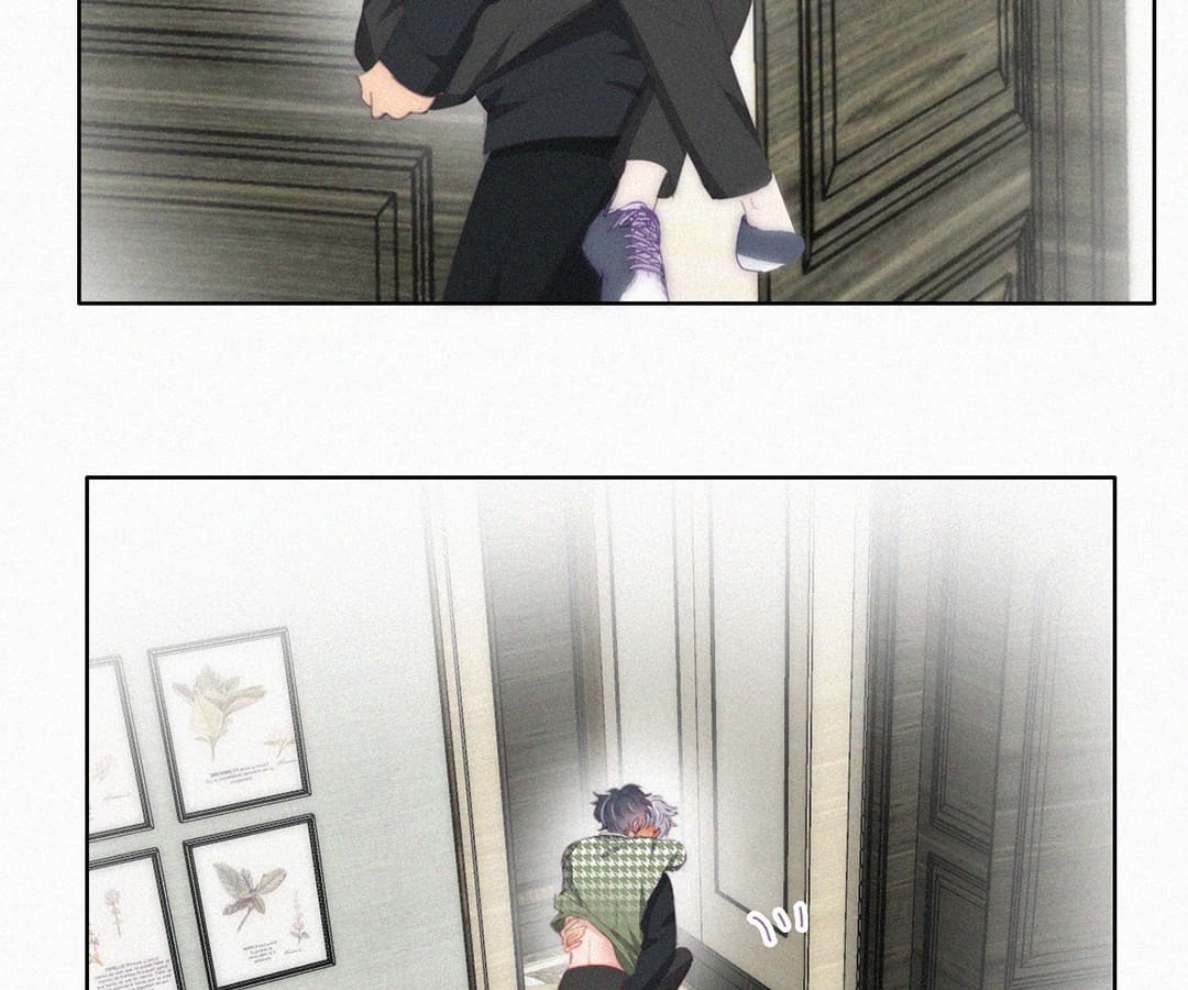 Counterattack Through Pregnancy (Official) - Chapter 258 manhwa