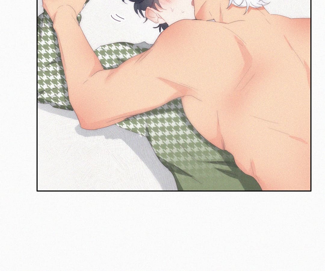 Counterattack Through Pregnancy (Official) - Chapter 258 manhwa