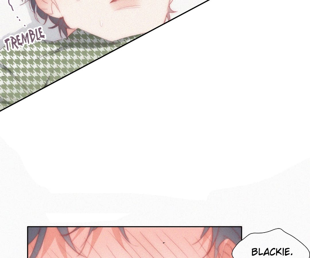 Counterattack Through Pregnancy (Official) - Chapter 258 manhwa