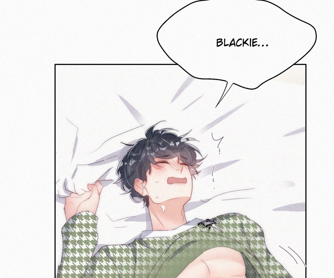 Counterattack Through Pregnancy (Official) - Chapter 259 manhwa