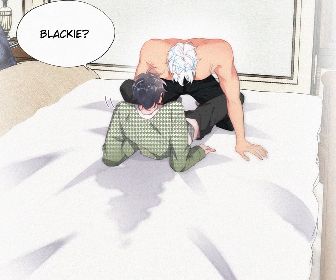 Counterattack Through Pregnancy (Official) - Chapter 259 manhwa
