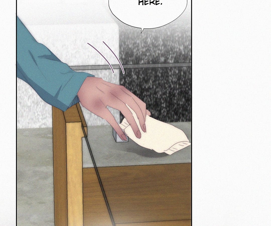 Counterattack Through Pregnancy (Official) - Chapter 260 manhwa