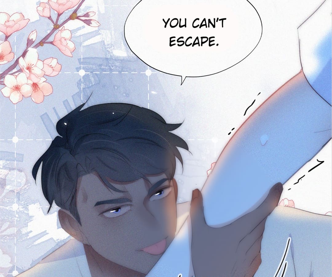 Counterattack Through Pregnancy (Official) - Chapter 266 manhwa