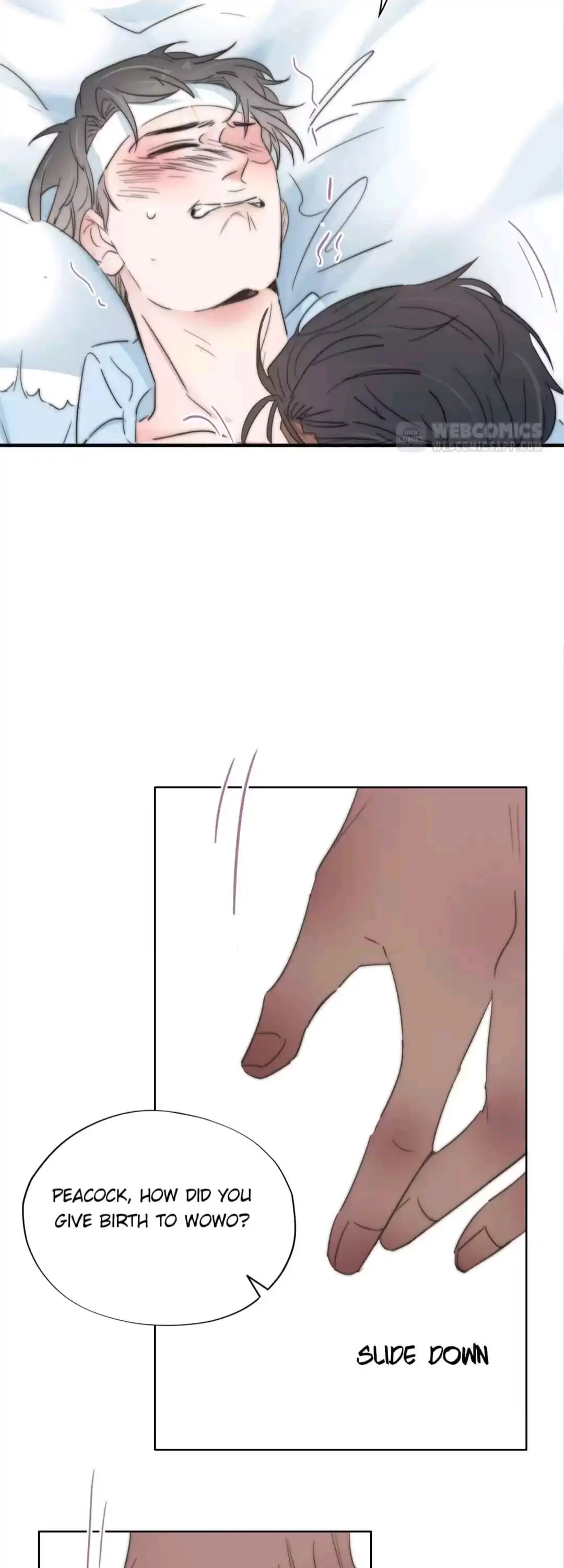 Counterattack Through Pregnancy (Official) - Chapter 76 manhwa