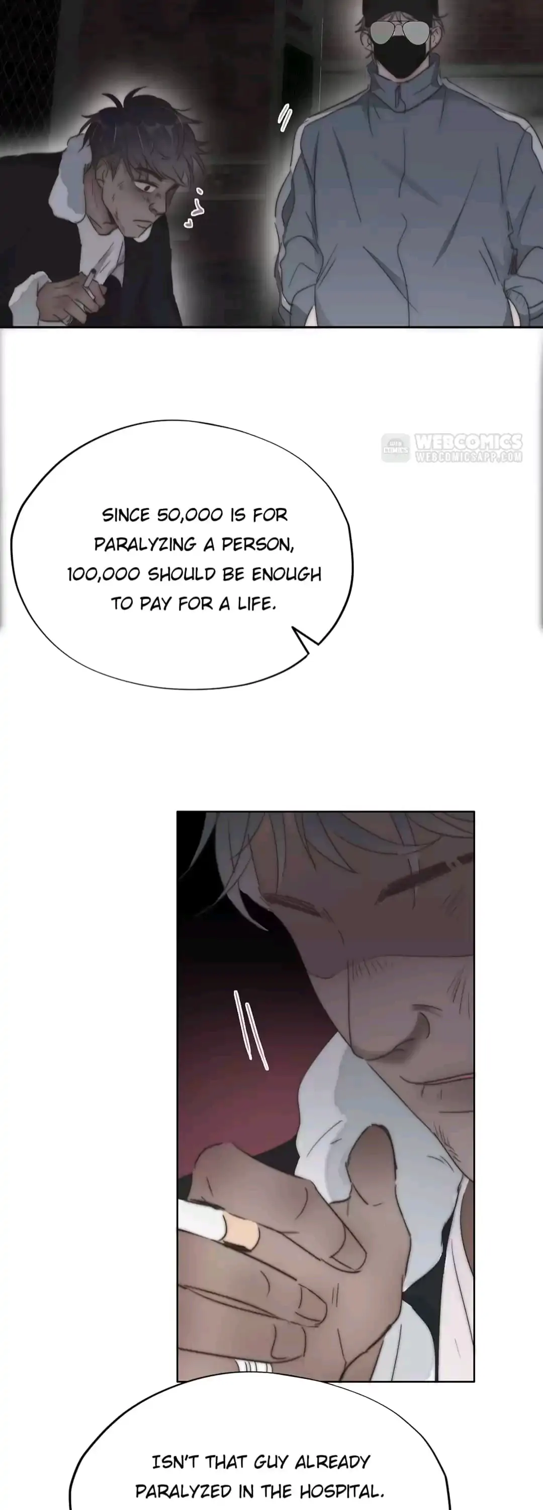 Counterattack Through Pregnancy (Official) - Chapter 81 manhwa