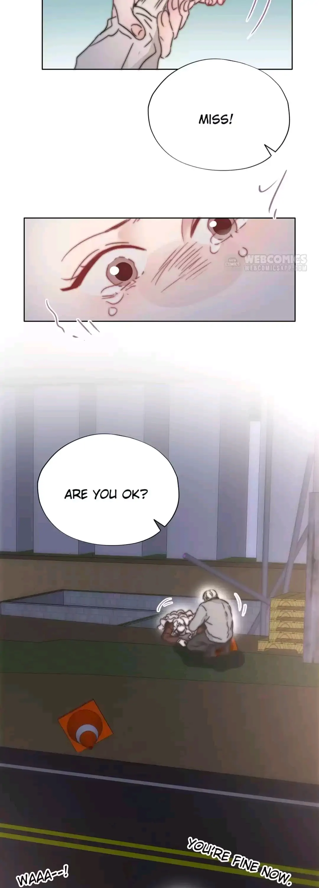 Counterattack Through Pregnancy (Official) - Chapter 85 manhwa