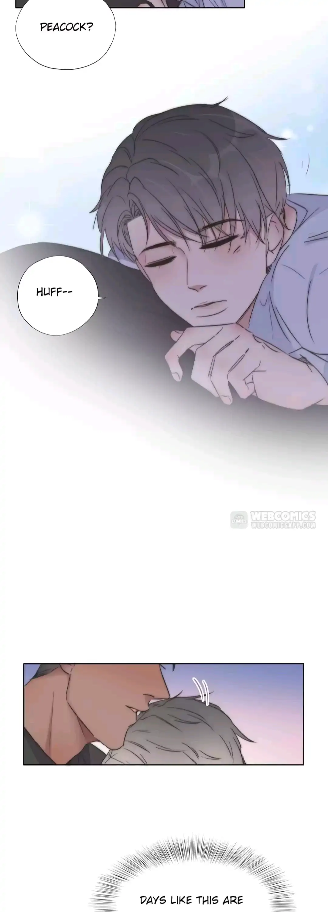 Counterattack Through Pregnancy (Official) - Chapter 86 manhwa