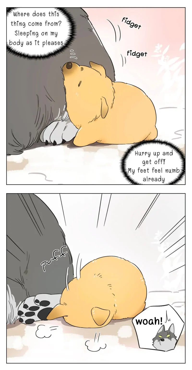 Papa Wolf and The Puppy - Chapter 1 manhwa