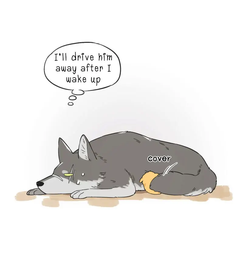Papa Wolf and The Puppy - Chapter 1 manhwa