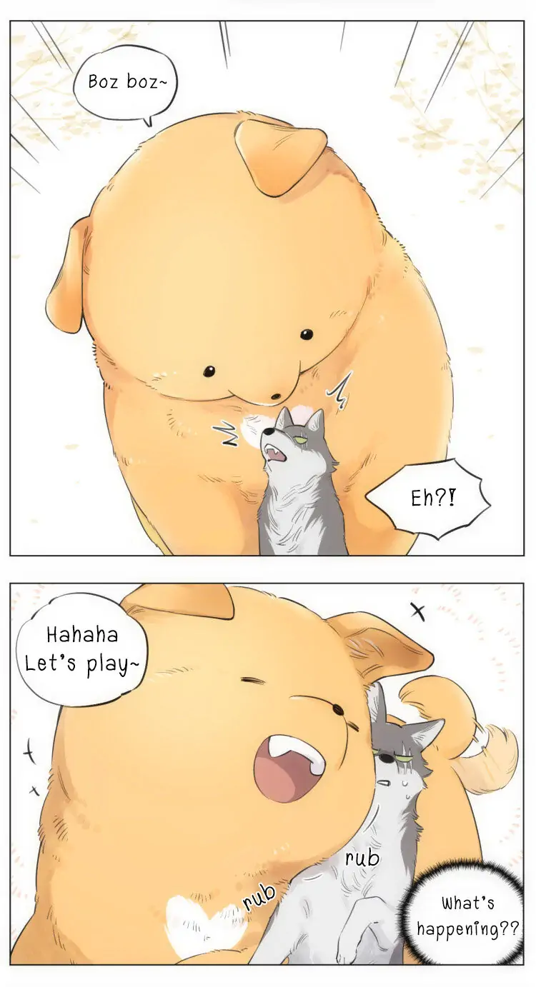 Papa Wolf and The Puppy - Chapter 10 manhwa