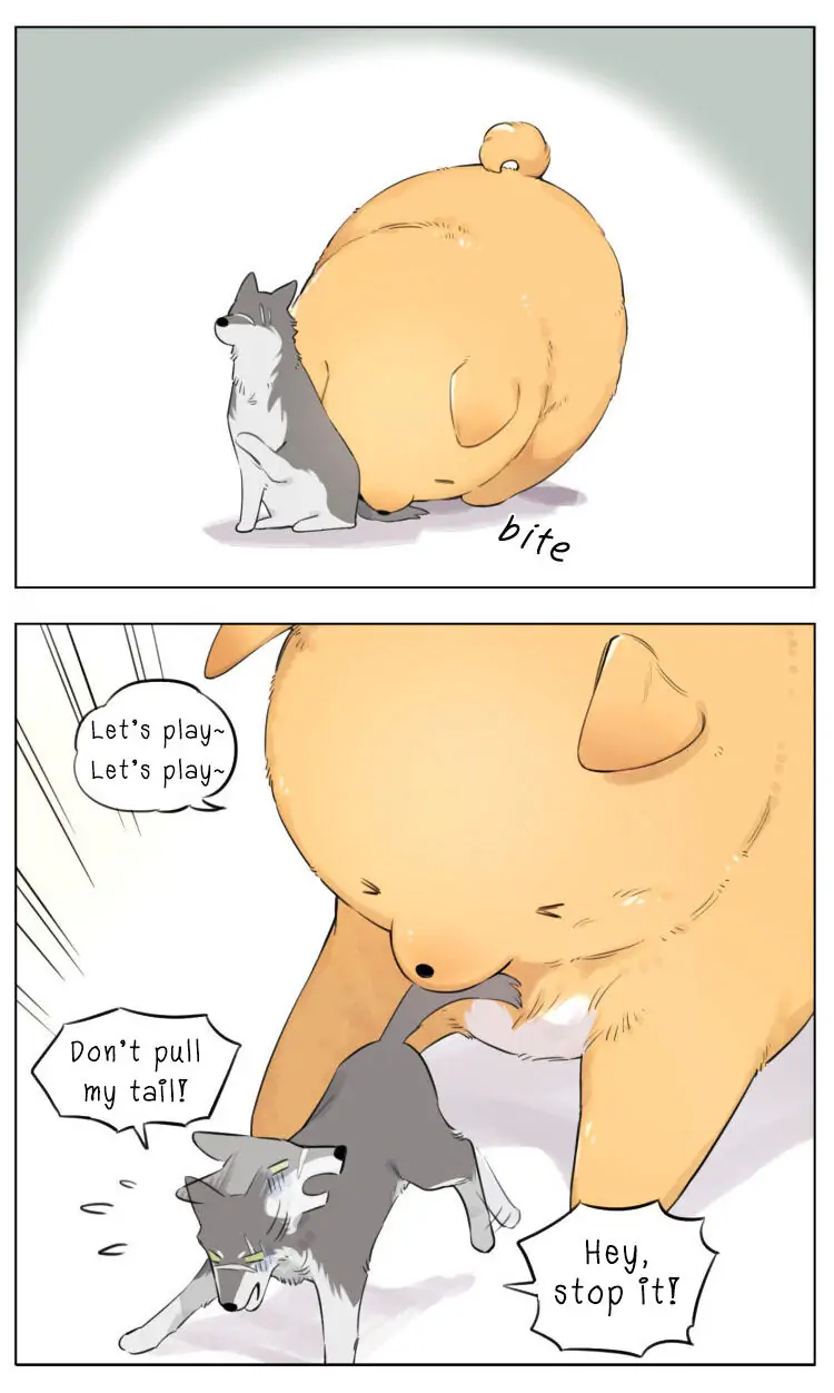 Papa Wolf and The Puppy - Chapter 10 manhwa