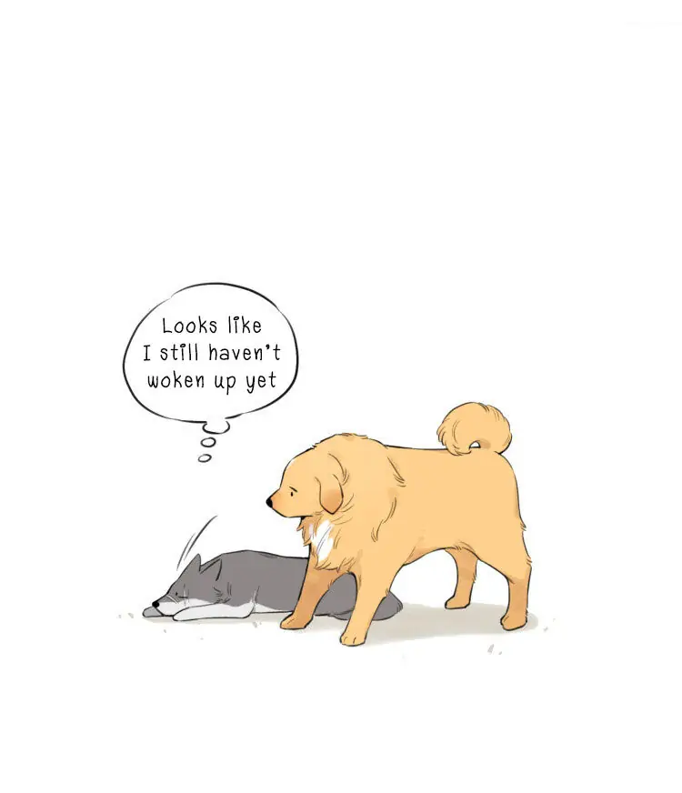 Papa Wolf and The Puppy - Chapter 10 manhwa