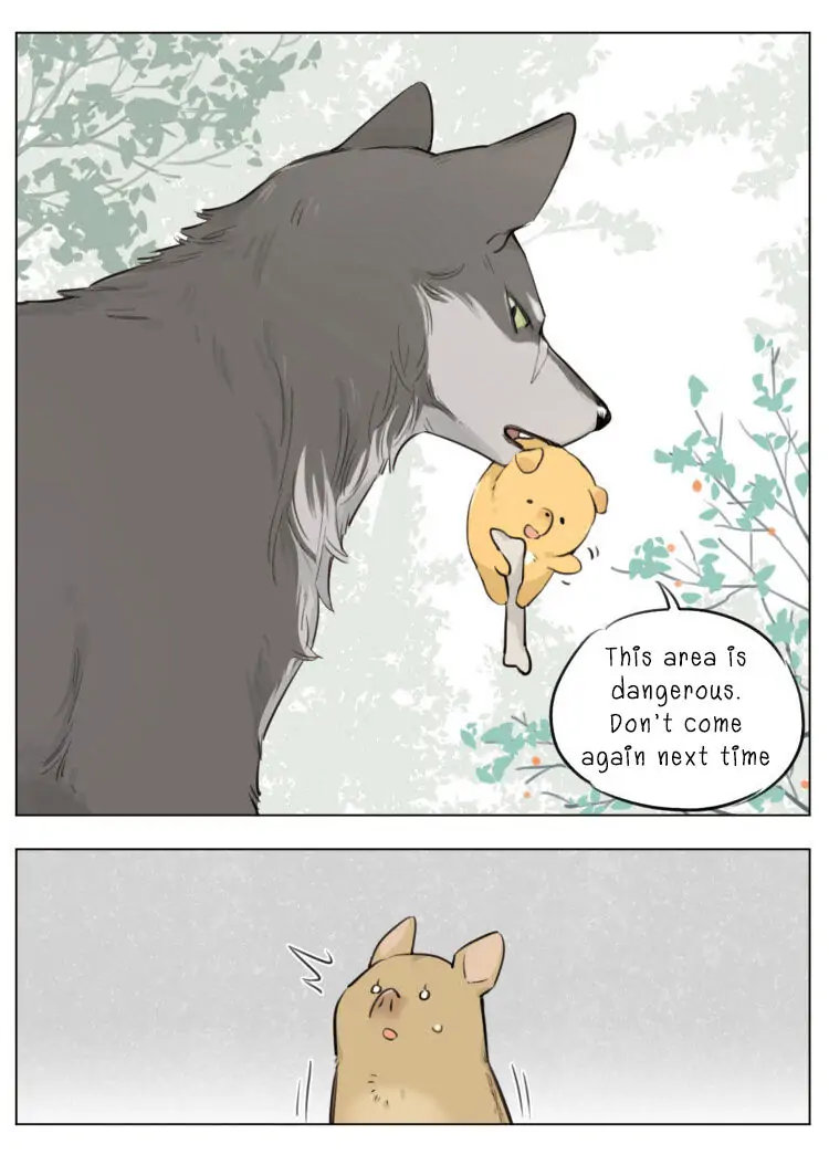 Papa Wolf and The Puppy - Chapter 11 manhwa