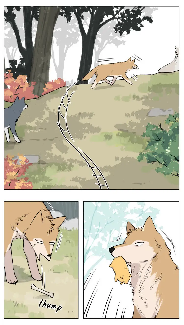 Papa Wolf and The Puppy - Chapter 12 manhwa