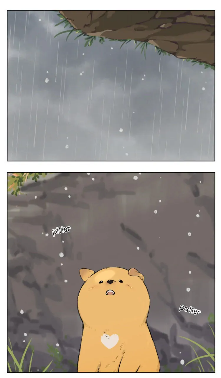 Papa Wolf and The Puppy - Chapter 13 manhwa