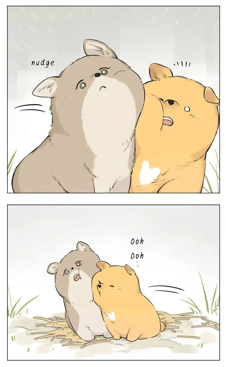 Papa Wolf and The Puppy - Chapter 13 manhwa