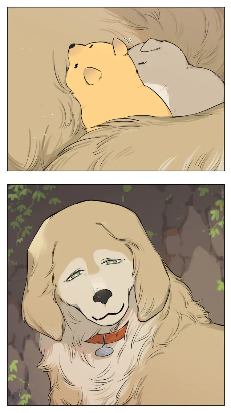 Papa Wolf and The Puppy - Chapter 13 manhwa