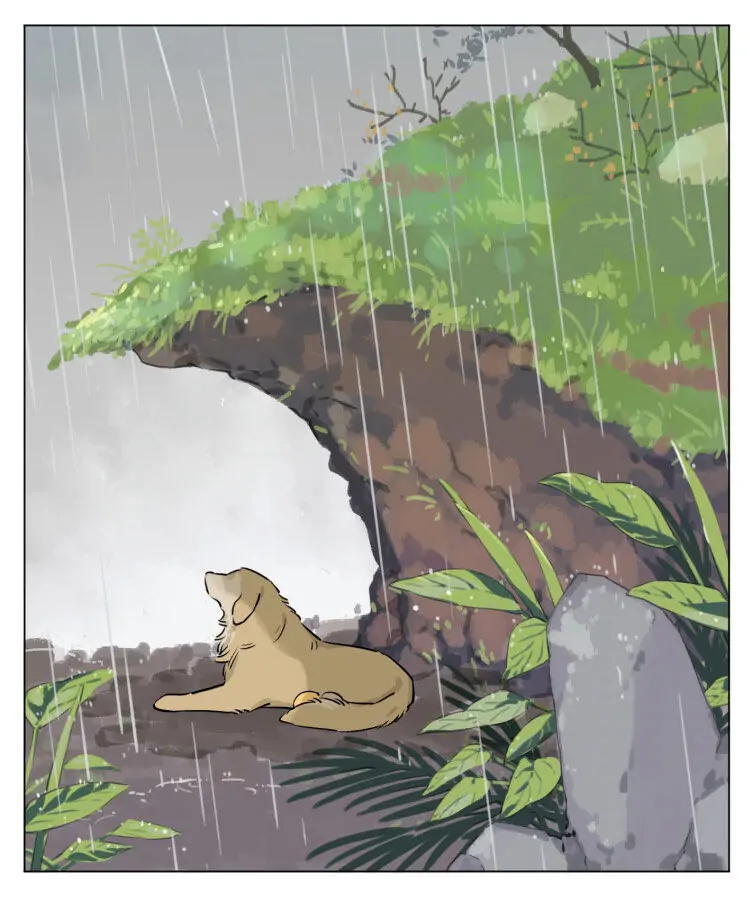 Papa Wolf and The Puppy - Chapter 13 manhwa