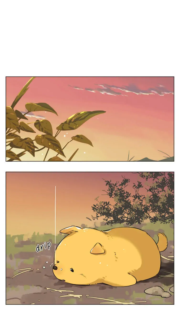 Papa Wolf and The Puppy - Chapter 13 manhwa