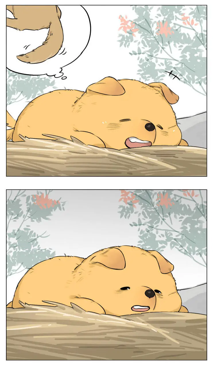 Papa Wolf and The Puppy - Chapter 13 manhwa