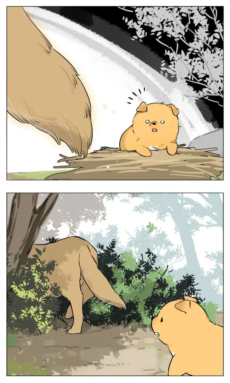 Papa Wolf and The Puppy - Chapter 13 manhwa