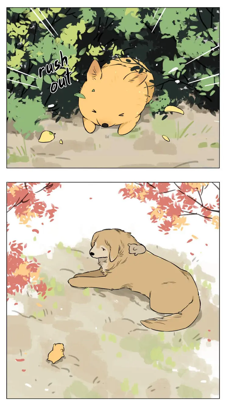 Papa Wolf and The Puppy - Chapter 13 manhwa