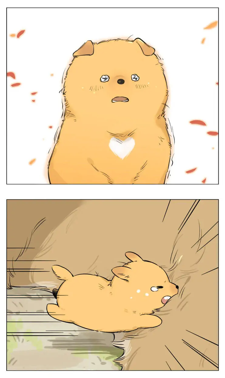 Papa Wolf and The Puppy - Chapter 13 manhwa
