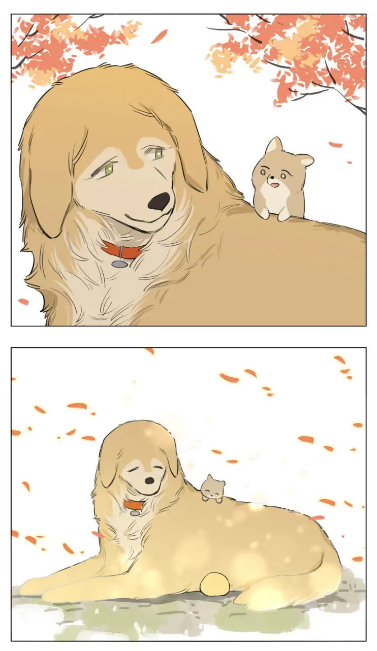 Papa Wolf and The Puppy - Chapter 13 manhwa