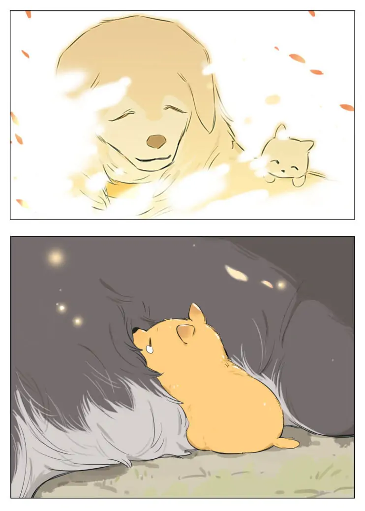 Papa Wolf and The Puppy - Chapter 13 manhwa
