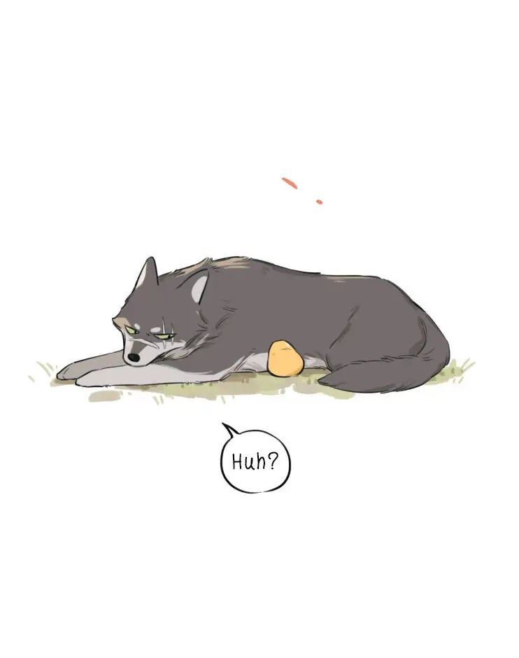 Papa Wolf and The Puppy - Chapter 13 manhwa