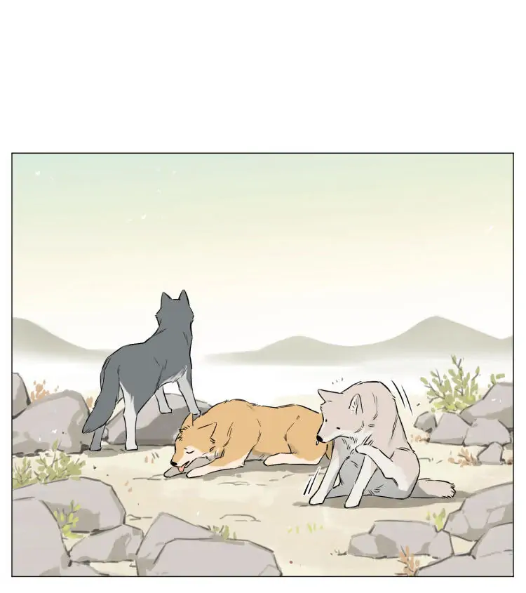 Papa Wolf and The Puppy - Chapter 14 manhwa