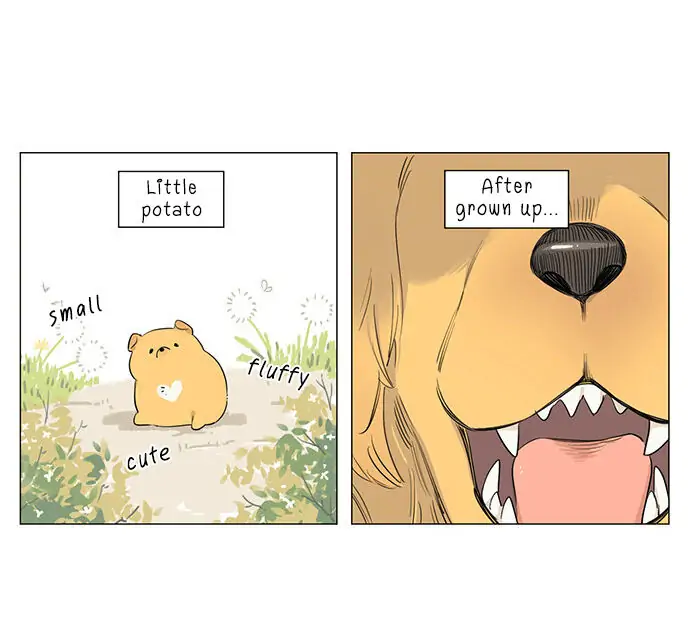 Papa Wolf and The Puppy - Chapter 17 manhwa
