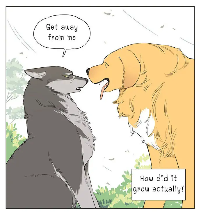 Papa Wolf and The Puppy - Chapter 17 manhwa