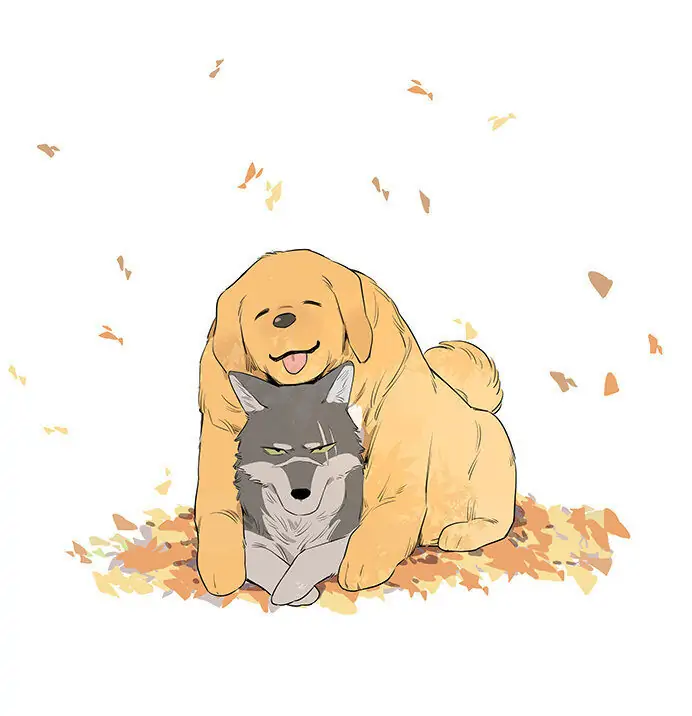 Papa Wolf and The Puppy - Chapter 19.5 : Human Version manhwa