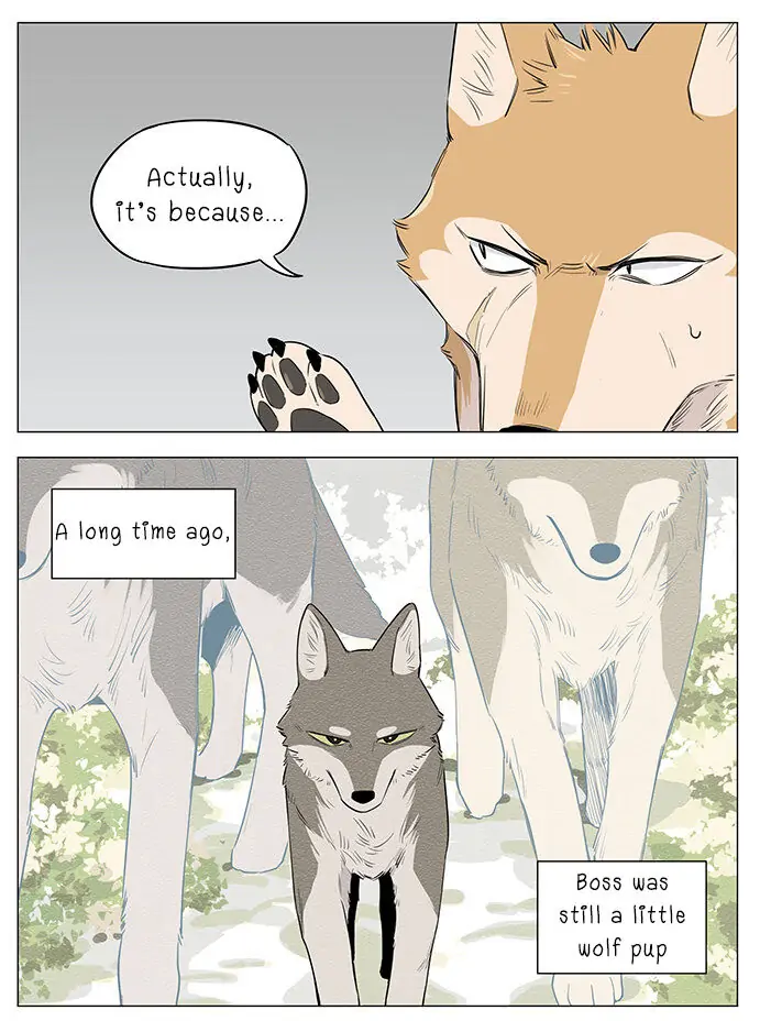 Papa Wolf and The Puppy - Chapter 19 manhwa